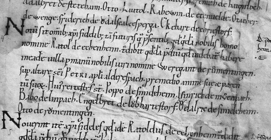 Finanzierung Transkribus Sites (Fördergeber):