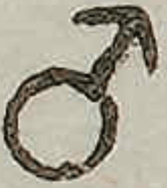 A handwritten male symbol from a document